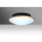Besa Lighting Silk 16 Ceiling, Opal/Gold, 1x30W LED SILK16GDC-LED - alternate 1